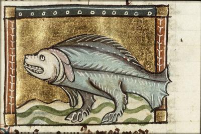 Maerlant beschrijft de zeehond als ‘een dier met de voorpoten van een hond, en met de staart van een vis’. Dat is dan ook wat de illustrator tekende.