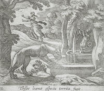 Op deze gravure ziet Thisbe de leeuwin drinken en vlucht ze weg.
