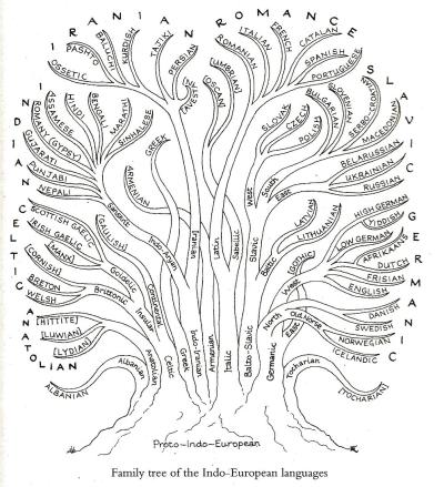Talenfamilies afgebeeld als een boom