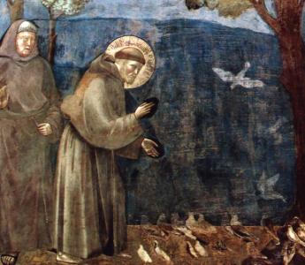 Franciscus preekt tot de vogels: hij had álle levende wezens lief en vroeg de vogels om God te prijzen. Onder andere vanwege zijn preek tot de vogels vieren we dierendag op de feestdag van Sint Franciscus (4 oktober).  Assisi, kerk van Franciscus, fresco van Giotto.