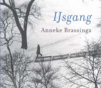 Anneke Brassinga ontving al heel wat prijzen voor haar gedichten. Voor de bundel IJsgang kreeg ze de Publieksprijs voor de beste poëziebundel 2006, op initiatief van de online magazines Rottend Staal en de Contrabas.