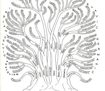 Talenfamilies afgebeeld als een boom