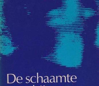 Omslag van Anja Meulenbelt, De schaamte voorbij.