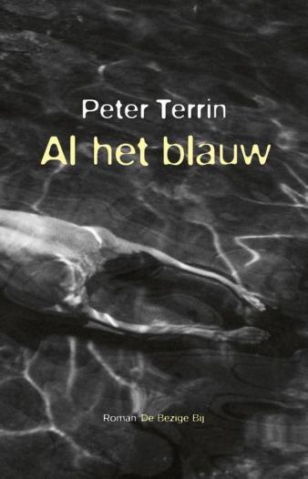 Omslag Al het blauw