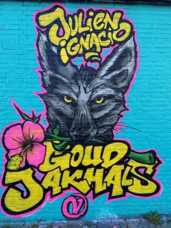 Grafitti piece Goudjakhals