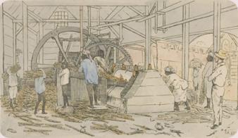 Het persen van het suikerriet in de suikermolen was gevaarlijk werk. Tekening van Théodore Bray uit circa 1850.