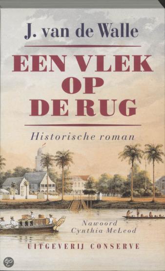 Omslag van Johan van de Walle, Een vlek op de rug