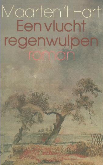 Omslag van Een vlucht regenwulpen